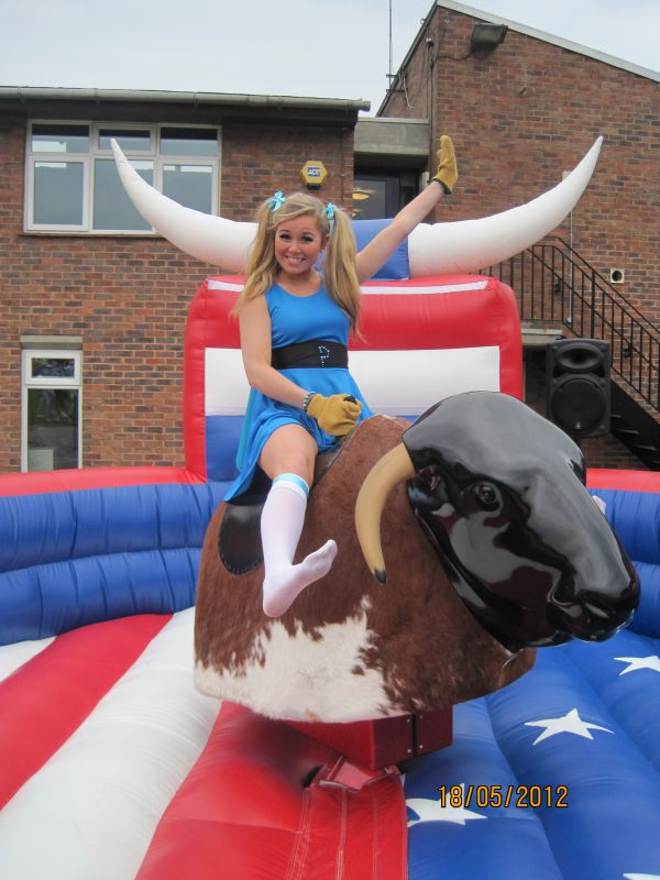 RODEO BULL HIRE